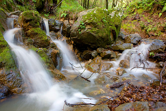Blackstone Canyon Blackstone Canyon, my local refuge from Bad Things.
