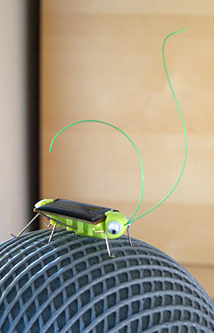 solarbug