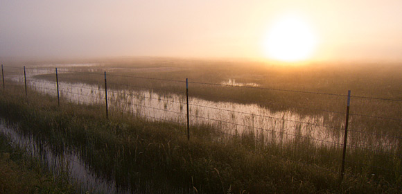 nss_field