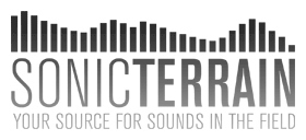 stLogo