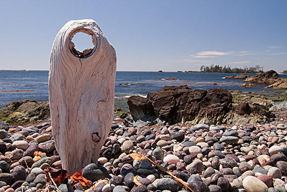The view west to the Pacific Ocean from Catala Island, British Colombia, Canada.