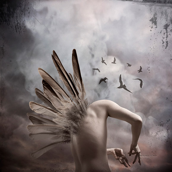 darkWingsRising