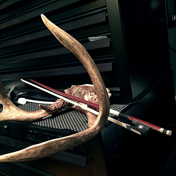 aantlers